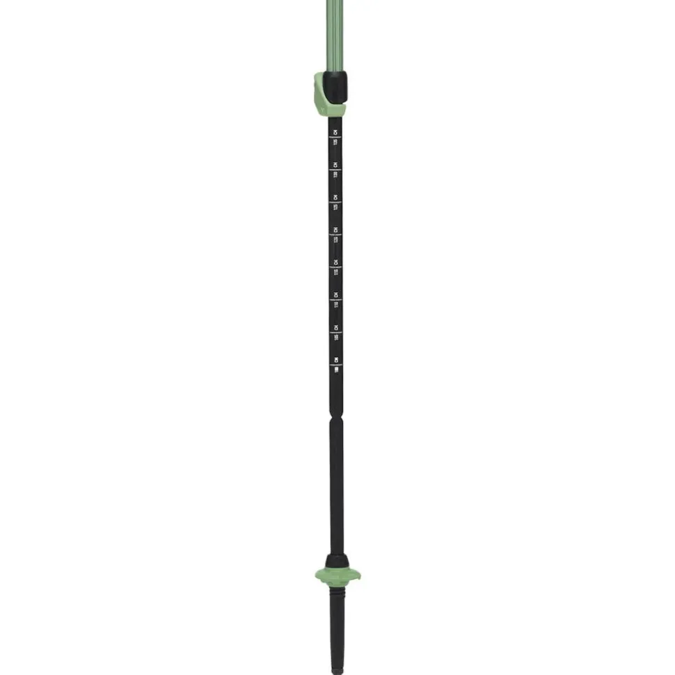 Bastoncini Black Diamond Trail Vista Shock Trek 110-140 cm Deep Woods