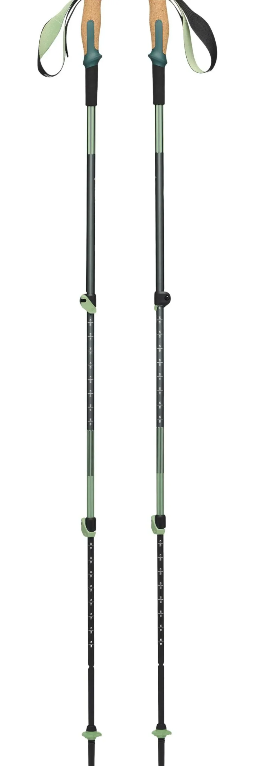 Bastoncini Black Diamond Trail Vista Shock Trek 110-140 cm Deep Woods