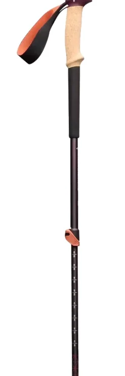 Bastoncini Black Diamond Trail Cork Trekking 100-140 cm Fig