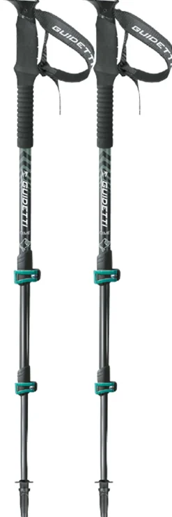 Bastoncini Guidetti Cime Alu 59-125cm Mélèze