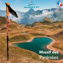 Bastoncini Guidetti Région Alu 62-135 cm Massif des Pyrénées