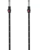 Bastoncini Salomon Mtn Alu S3 Echo Evening Haze
