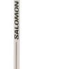 Bastoncini Salomon Mtn Alu S3 Rainy Day Green
