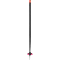 Bastoncini Salomon Polar Pro S3 Flame