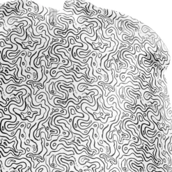 Berretto sci Curlynak 4 Saisons Beanie Topo