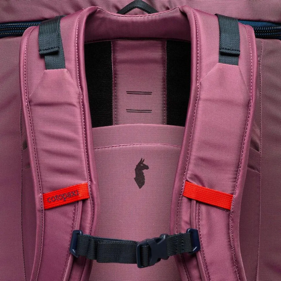 Borsone Cotopaxi Allpa 50L Adventure Travel Pack Fig