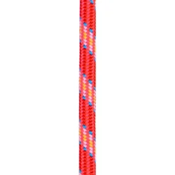 Corde Beal Ice Line 8.1mm Golden Dry Orange