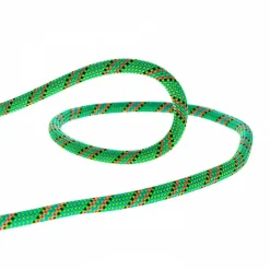 Corde Beal Tiger 10mm Dry Cover Green