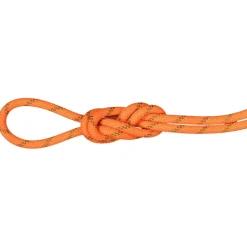 Corde Mammut 8.0 Alpine Dry Rope Vibrant Orange Boa