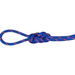 Corde Mammut 7.5 Alpine Sender Dry Rope Blue Safety Orange