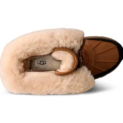 Doposci UGG W Adirondack Boot Tall Xxv Chestnut