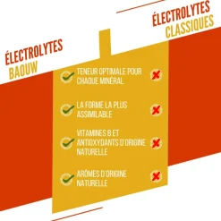 Elettroliti Baouw Pastilles Electrolytes (x10) 50 g. Mangue Ananas