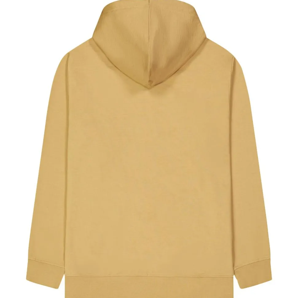 Felpa Picture Basement Hoodie Lark