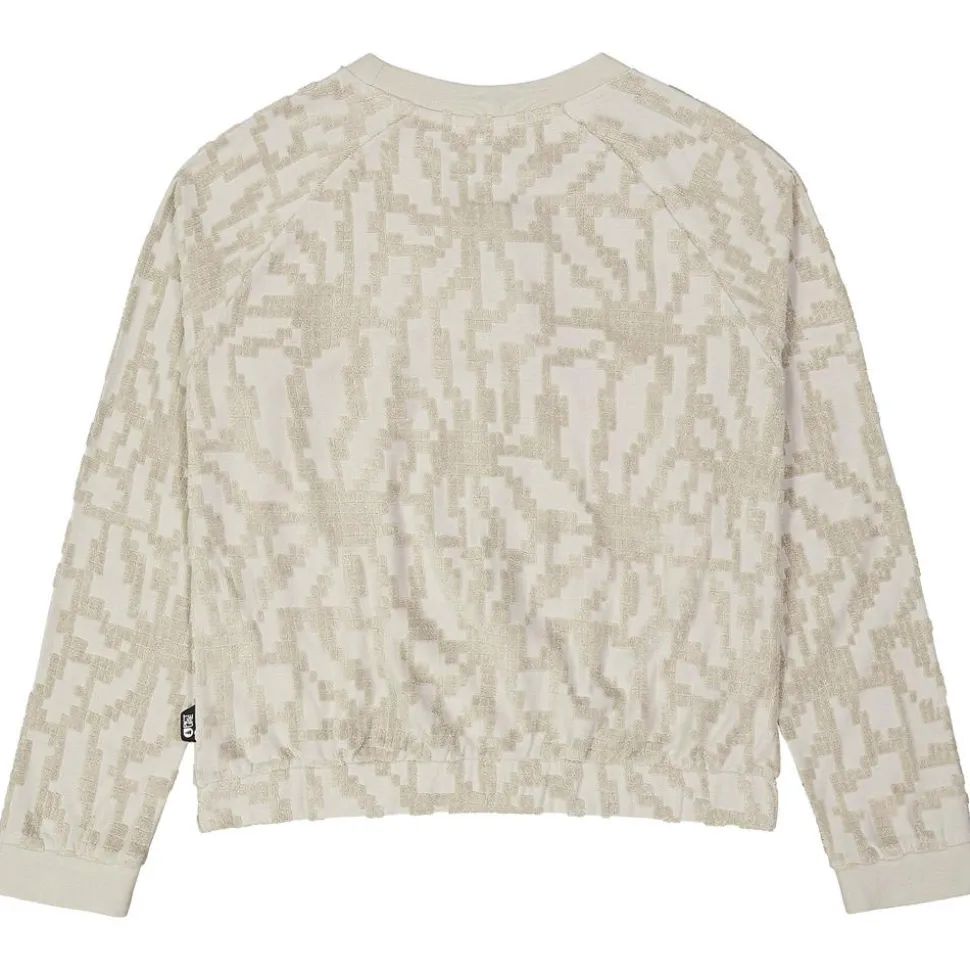 Felpa Picture Clady Crew Pure Cashemere Embossed