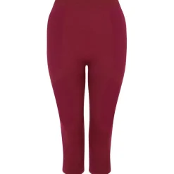 Intimo Tecnico DARE2B In The Zone II 3/4 Fig