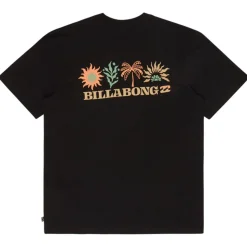 Maglietta Billabong Segment Short Sleeve Black