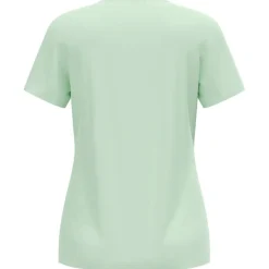 Maglietta da trail Odlo Tee Shirt Crew Neck Short Sleeve Essential Flyer Ambrosia