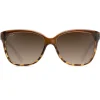 Occhiali da sole Maui Jim Starfish Chocolat Translucide Ecaille Bronze HCL Mineral SuperThin