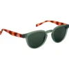 Occhiali da sole Moken Vision Enzoo Tortoise Green