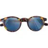 Occhiali da sole Moken Vision Andy Tortoise Blue Cat.2 Gradient Polarized