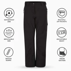Pantaloni tecnici DARE2B Ice Pant Black