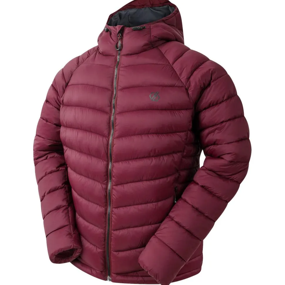 Piumino DARE2B Torrek Padded Fig