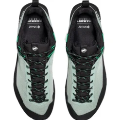 Scarpe da avvicinamento Mammut Alnasca IV Low Gore-Tex Deep Silver Sage Pinea