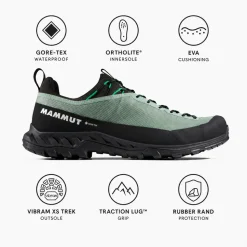 Scarpe da avvicinamento Mammut Alnasca IV Low Gore-Tex Deep Silver Sage Pinea