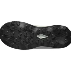 Scarpe da trail Salomon Ultra Flow 2 Wrought Iron Metal Incaberry