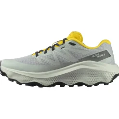 Scarpe da trail Salomon Ultra Flow 2 Wrought Iron Metal Incaberry