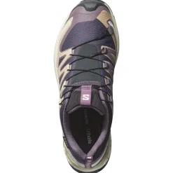 Scarpe da trail Salomon Xa Pro 3D V9 Gore-Tex W Nine Iron Oxford Tan Alfalfa