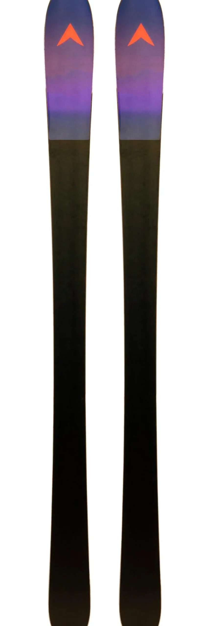 Sci Dynastar M-Cross 88