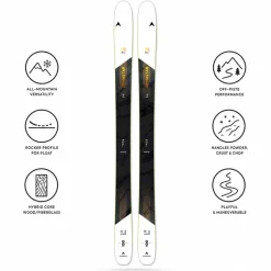 Sci Dynastar M-Free 100