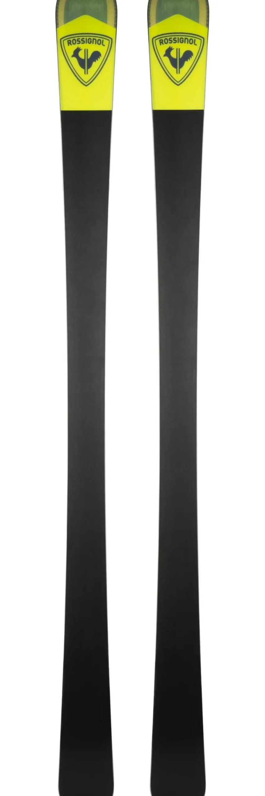 Sci Rossignol Arcade 84