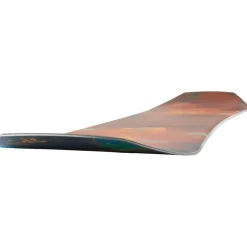 Tavola snowboard Ride Twinpig